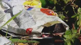 TRAILER / Dream Land / DIR: Laila Pakalnina