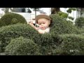 miniature