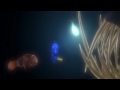 Finding Nemo 3D - นีโม...ปลาเล็ก หัวใจโต๊...โต 3 มิติ
