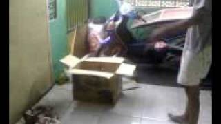 Paket Mencurigakan di Teras Rumah.mp4 view on youtube.com tube online. Paket Mencurigakan di Teras Rumah.mp4 view on youtube.com tube online.