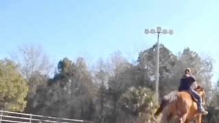 A Horse Trailer! ~@barrelracerme ( there is no ''movie'' that will be coming out this summer) A Horse Trailer! ~@barrelracerme ( there is no ''movie'' that will be coming out this summer)