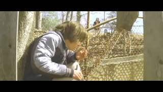 Lymelife (2008) Trailer