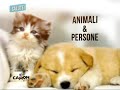 Formazione proprietari cani Formazione proprietari cani