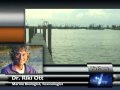 Thom Hartmann: Dr. Riki Ott: Is This a Gulf Coast Disaster We Can Recover From?