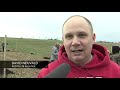 Bolatice: Výsadba nového sadu starých odrůd