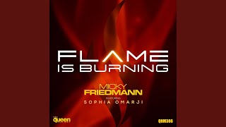 Flame Is Burning (Feat. Sophia Omarji)Flame Is Burning (Feat. Sophia Omarji)