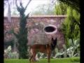 Photo Living San Miguel De Allende 2009 By Alison Sabul