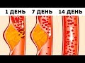 Что Такое Диета DASH и Почему Врачи Считают Ее Одной из Лучших Что Такое Диета DASH и Почему Врачи Считают Ее Одной из Лучших