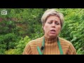 Фрагмент с начала видео Чеснок летом ➡ Удобрение и полив чеснока в июне? 🌟 Стрелки Супер рецепт 🌟 советы хитсад. Фрагмент с начала видео Чеснок летом ➡ Удобрение и полив чеснока в июне? 🌟 Стрелки Супер рецепт 🌟 советы хитсад.