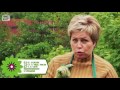 Фрагмент с конца видео Чеснок летом ➡ Удобрение и полив чеснока в июне? 🌟 Стрелки Супер рецепт 🌟 советы хитсад. Фрагмент с конца видео Чеснок летом ➡ Удобрение и полив чеснока в июне? 🌟 Стрелки Супер рецепт 🌟 советы хитсад.