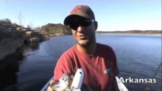 Southern Trout Eaters DVD Trailer