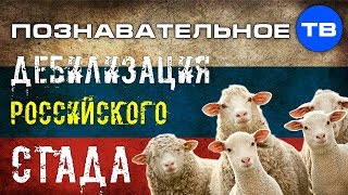 Дебилизация и уничтожение российского стада (Владимир Базарный)