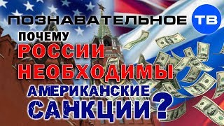 Почему России необходимы американские санкции? (Артём Войтенков)