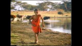 Movie trailer for CHEETAH