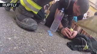 Видео с нательной камеры: испанские пожарные спасли собаку из огня