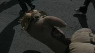 THE PASSION ACCORDING TO THE POLISH COMMUNITY OF PRUCHNIK - trailer