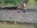 Image Video Lucu Balita 3gp