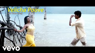 Ethir Neechal - Velicha Poove Video  Sivakarthikeyan, Priya