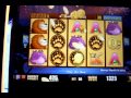 Gazellions Bonus - 50free Spins - 1c Slots