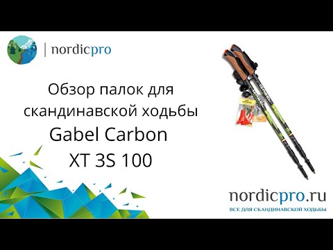 Gabel Carbon XT 3S 100