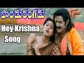 Pandurangadu - Hey Krishna Mukunda Murari - Bala Krishna - Sneha - Devotional Song