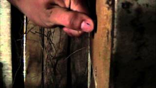 Unforgotten Trailer 2 Unforgotten Trailer 2