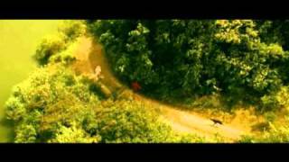 The Catfish Summer (Poslední plavky), DVD trailer