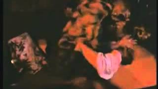 Silthis Trailer 1978