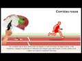 Photo Regras Do Jogo Atletismo