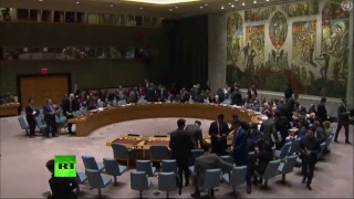 Заседание СБ ООН по Сирии. 14.04.2018