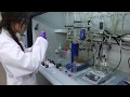 Imagen de la portada del video;Investigaciones excelentes–DECRESIM: Del magnetismo molecular a la mejora de la computación cuántica