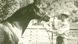 Seabiscuit: America's Legendary Racehorse (Trailer)