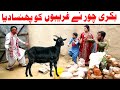 Noor Nazeer Bakri Chore Ko Urat Bana Dia Ashiq Funny Video  Most Comedy Funny Video You Tv Hd 2025