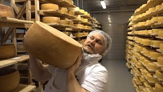 Чудовищная фальсификация молочной продукции в РФ