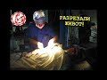 Юрию Спасокукоцкому разрезали живот! Боль ужасная! Шокирующие съемки с места происшествия Юрию Спасокукоцкому разрезали живот! Боль ужасная! Шокирующие съемки с места происшествия