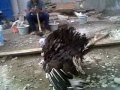 Picture Sex Bebas Di Gudang 3gp