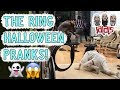 THE RING HALLOWEEN PRANK - JALALS THE RING HALLOWEEN PRANK - JALALS