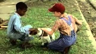 My Dog Skip Trailer