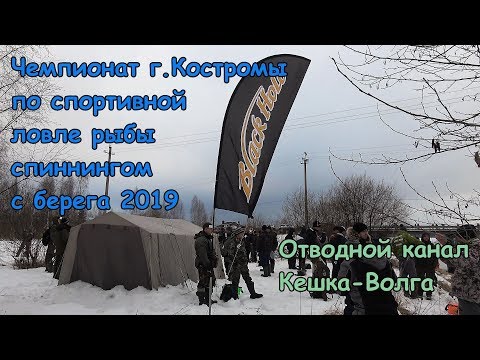 Волжские монстры? Чемпионат г.Костромы по спортивной ловле спиннингом с берега 2019