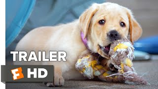 Pick of the Litter Trailer #1 (2018) | Movieclips Indie