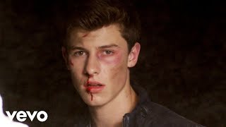 Shawn Mendes - Stitches (Official Video)