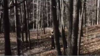 "Backdoor Channels: The Price of Peace" Trailer