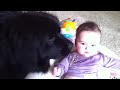 Image Newfie Cuddles Baby Girl