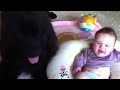 Picture Newfie Cuddles Baby Girl