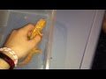 Reptiles That Make Good Pets