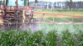 Genetic Roulette Movie Trailer