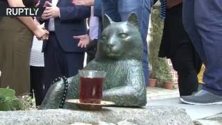 В Стамбуле увековечили память кота, задумчиво сидевшего на тротуаре