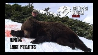 Hunting large predators. Jakt på store rovdyr av Kristoffer Clausen. Filmtrailer