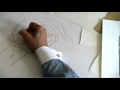 Milton Glaser - A importância do desenho - Porque ensinar Parte 1.mp4