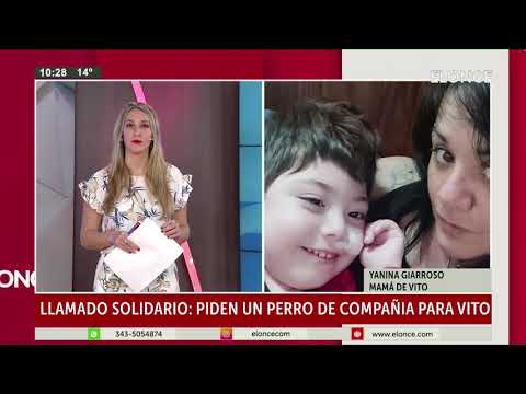 Pedido solidario: Buscan perro de compañía para un niño con parálisis cerebral